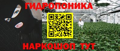 ПСИЛОЦИБИНОВЫЕ ГРИБЫ Кинель