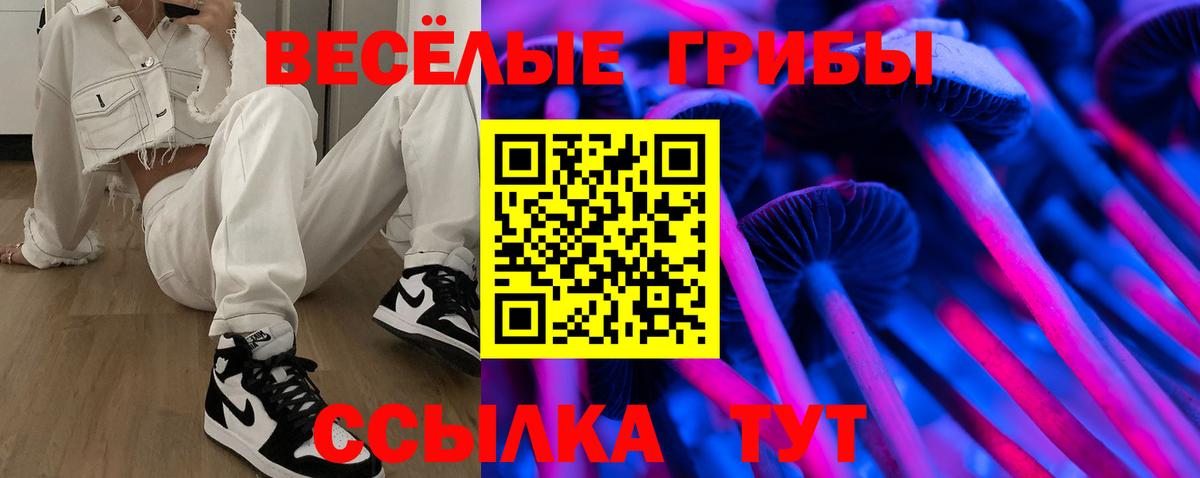Псилоцибиновые грибы GOLDEN TEACHER Михайловск